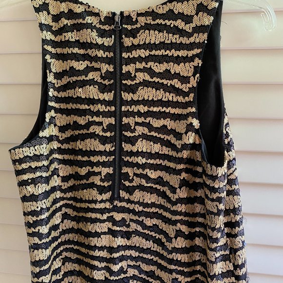 Striped Sequin Dress - Picture 7 of 7